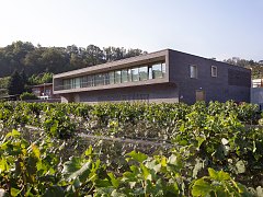 Weingut Cantina Agriloro