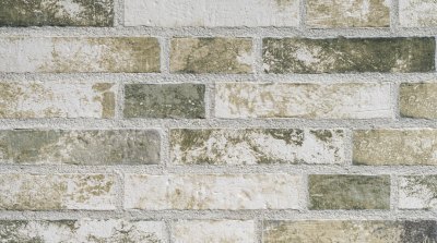 Riemchen Riga Salbei