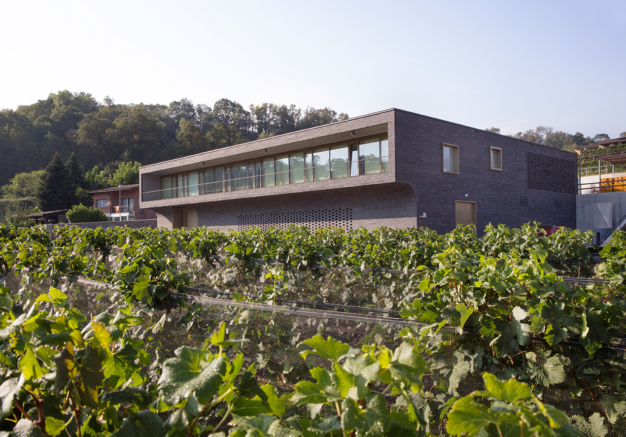 Ein Ziegel, im Boden verwurzelt: Weingut Cantina Agriloro, Genestrerio